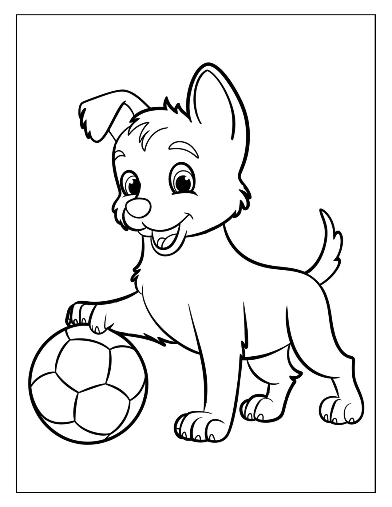 Reference Image