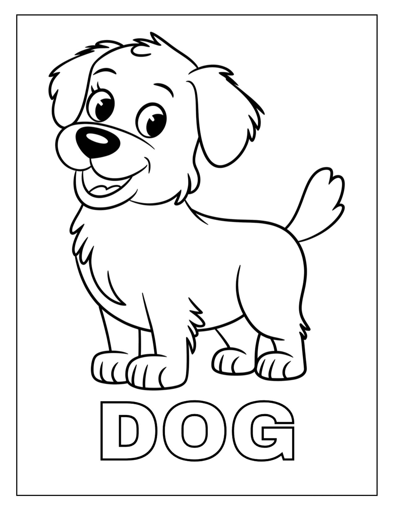 Reference Image